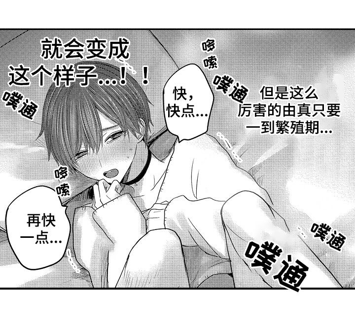 伪造报告漫画,第47章：番外5图