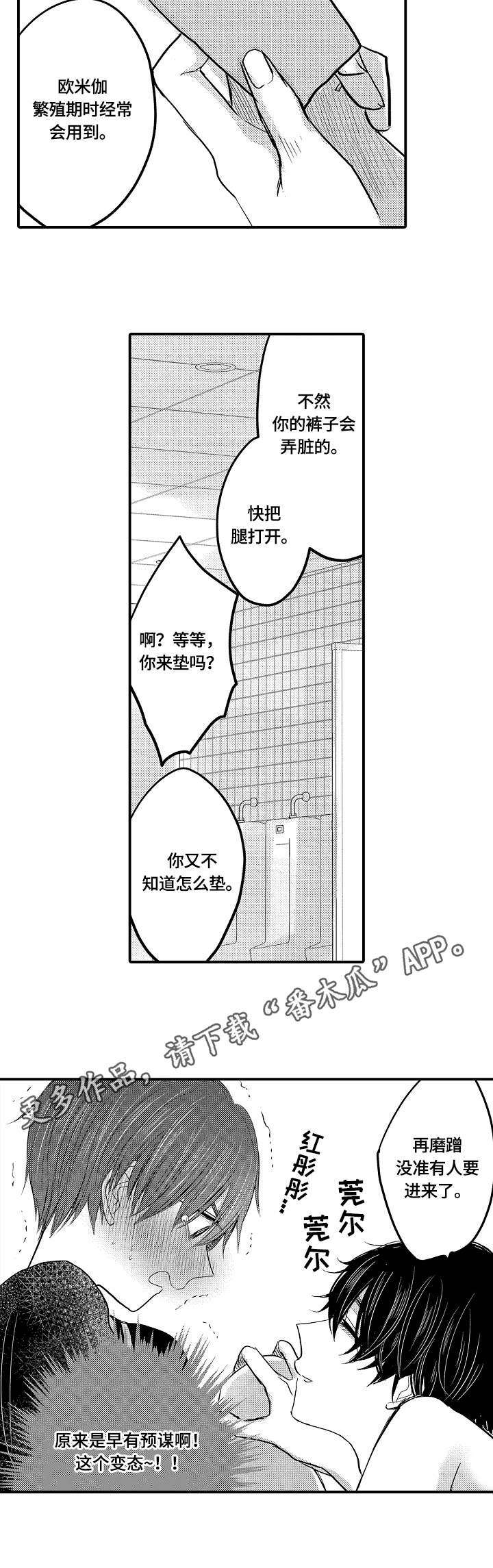 伪造报告漫画,第11章：预谋5图