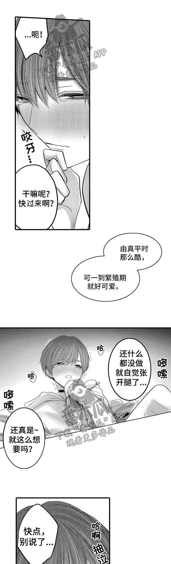 伪装报告在哪里看漫画,第49章：【第二季】我的妻子们1图