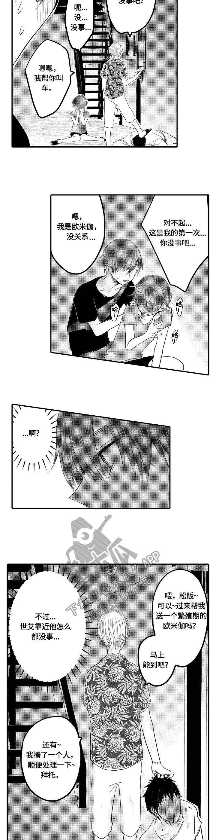 伪造报告漫画番木瓜漫画,第17章：钥匙2图
