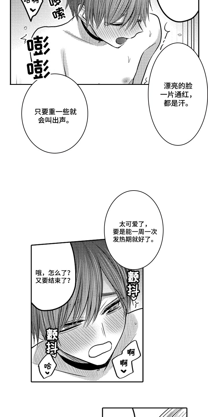 伪装报告在哪里看漫画,第73章：【第二季】奖励2图