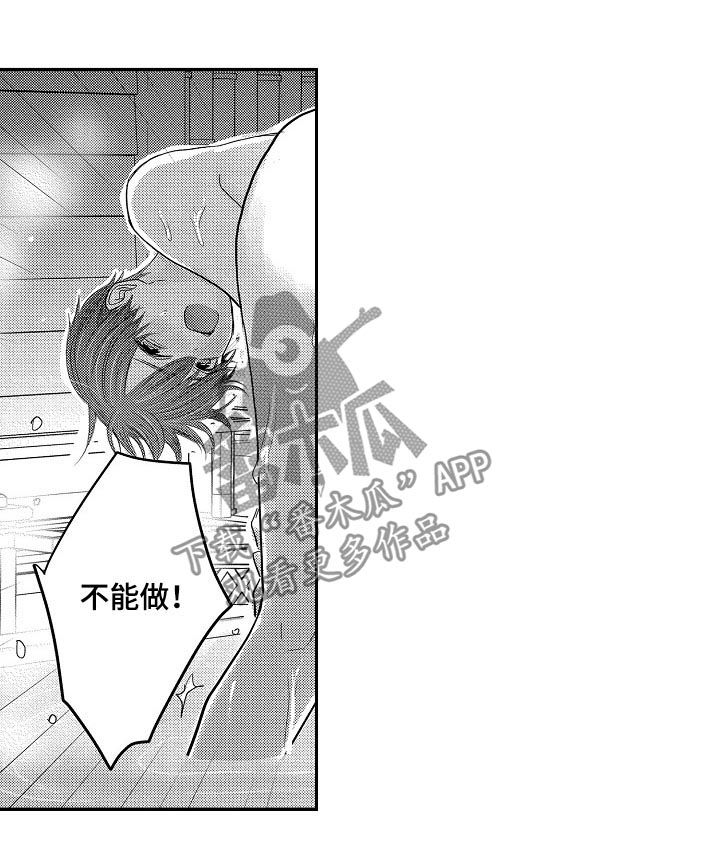 伪装报告在哪里看漫画,第40章：好奇4图