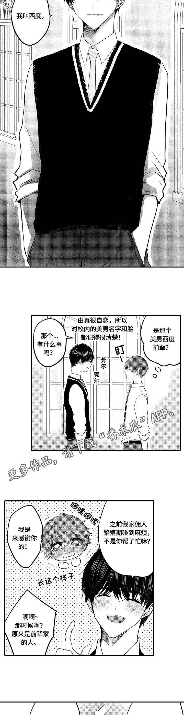 伪装报告在哪里看漫画,第18章：被发现了3图