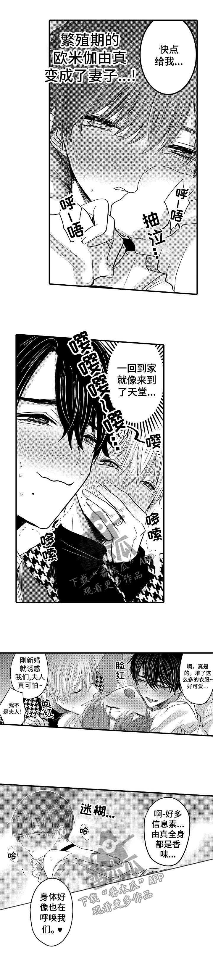 伪装报告在哪里看漫画,第49章：【第二季】我的妻子们5图