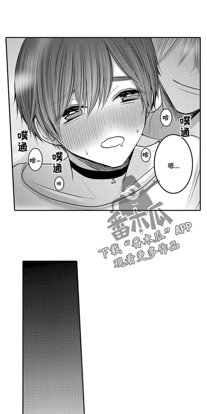 伪造报告漫画,第73章：【第二季】奖励1图