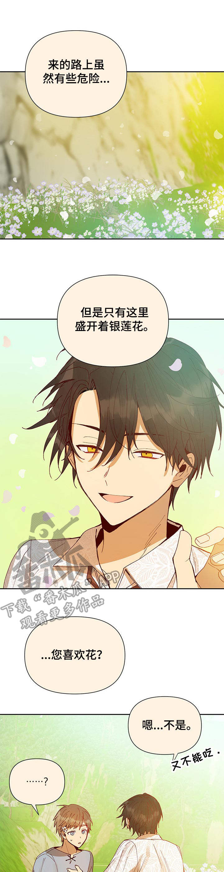 敌国质子漫画,第8章：银莲花5图