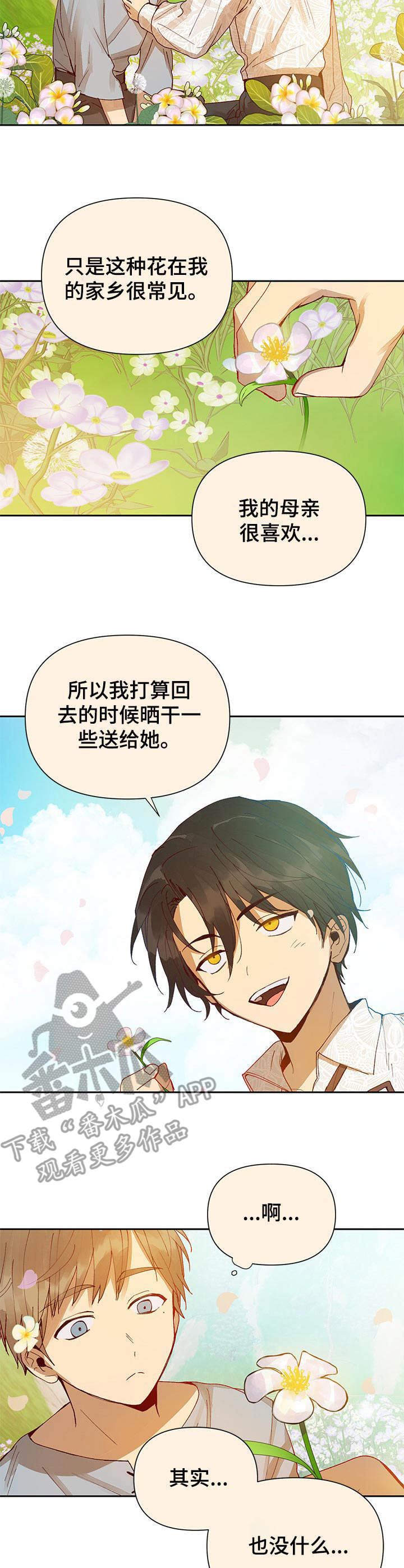 敌国质子漫画,第8章：银莲花1图