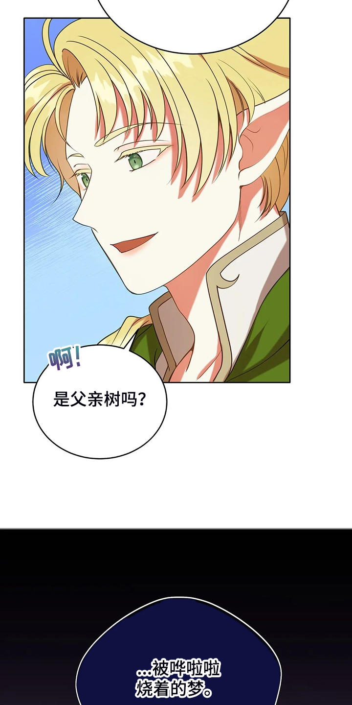 黄昏的地平线原唱周传雄漫画,第36章：去往精灵界2图