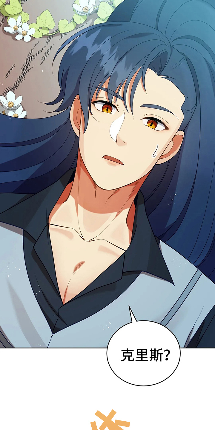 黄昏的清兵卫免费完整版漫画,第40章：精灵界碎片4图