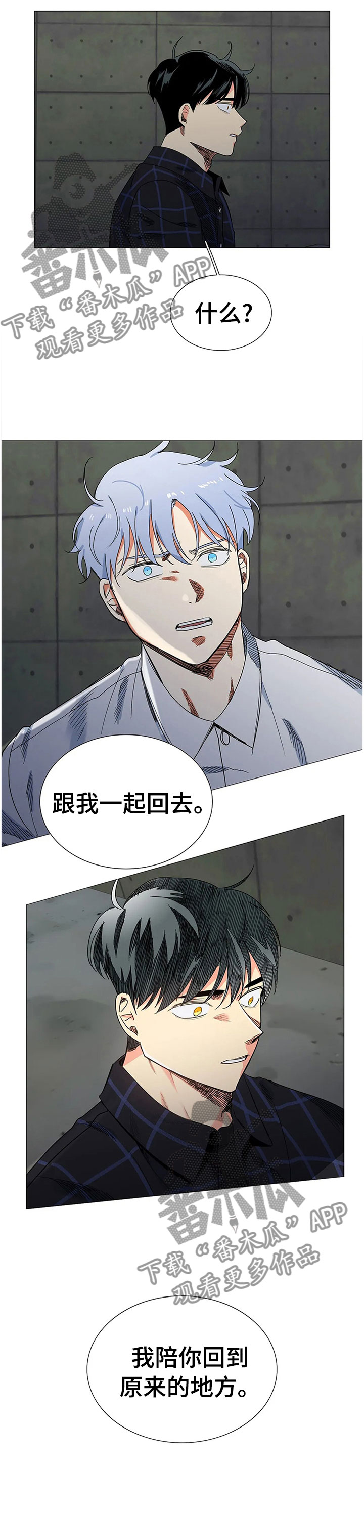 固执爱人漫画,第78章：警察来了4图