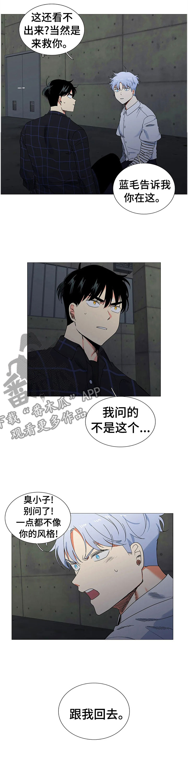 固执爱人漫画,第78章：警察来了3图