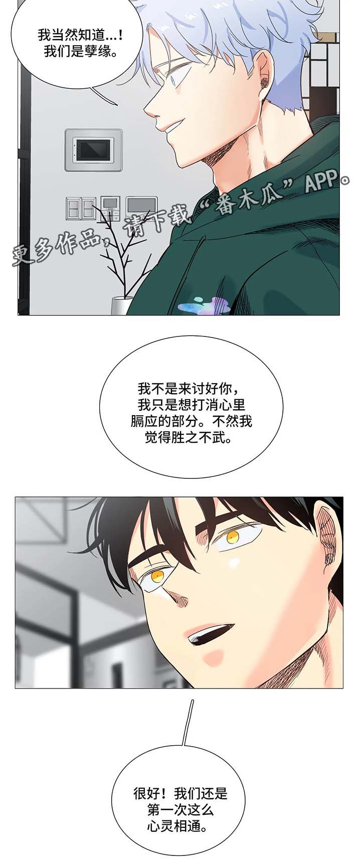 固执爱人漫画,第44章：孽缘3图