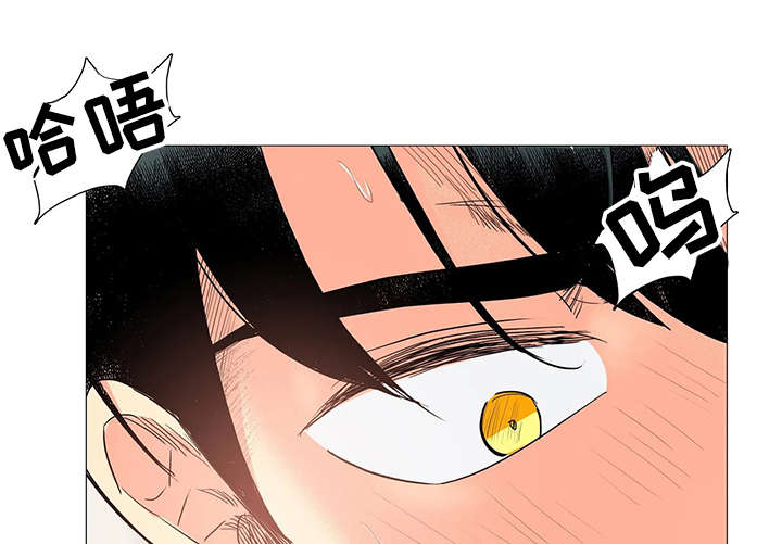固执爱人漫画,第10章：动真格的5图