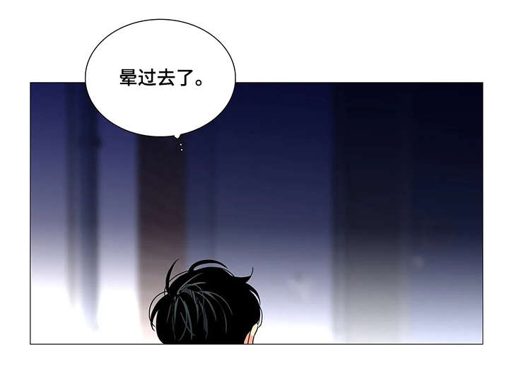 固执爱人漫画,第27章：晕倒1图