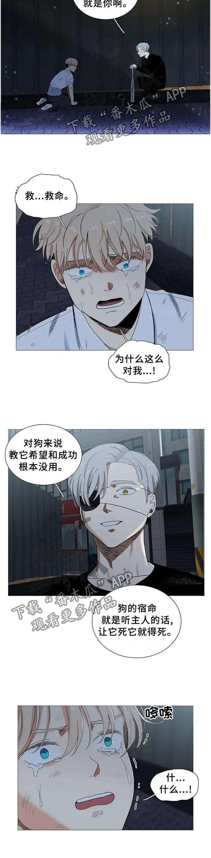 固执爱人漫画,第68章：没事的2图