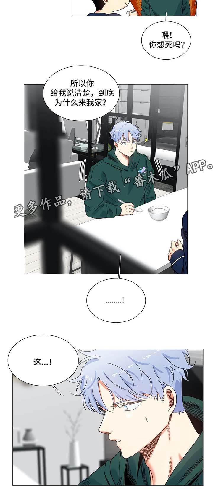 固执爱人漫画,第44章：孽缘3图