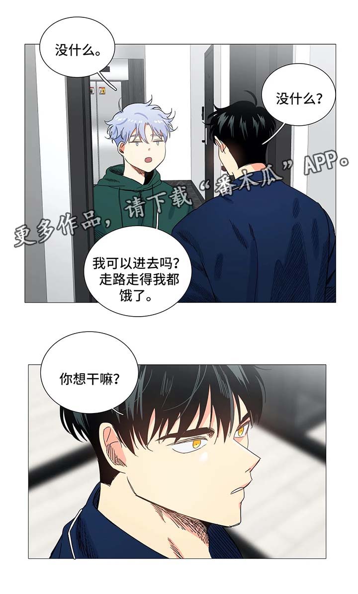 固执爱人漫画,第43章：淤青1图