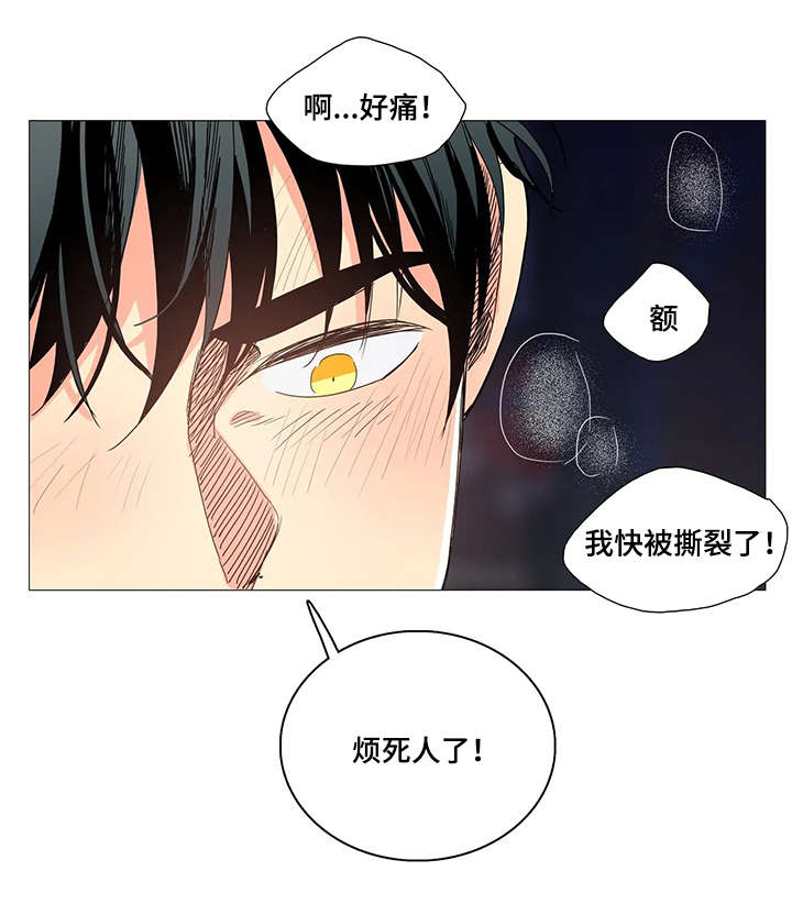 固执爱人漫画,第27章：晕倒4图