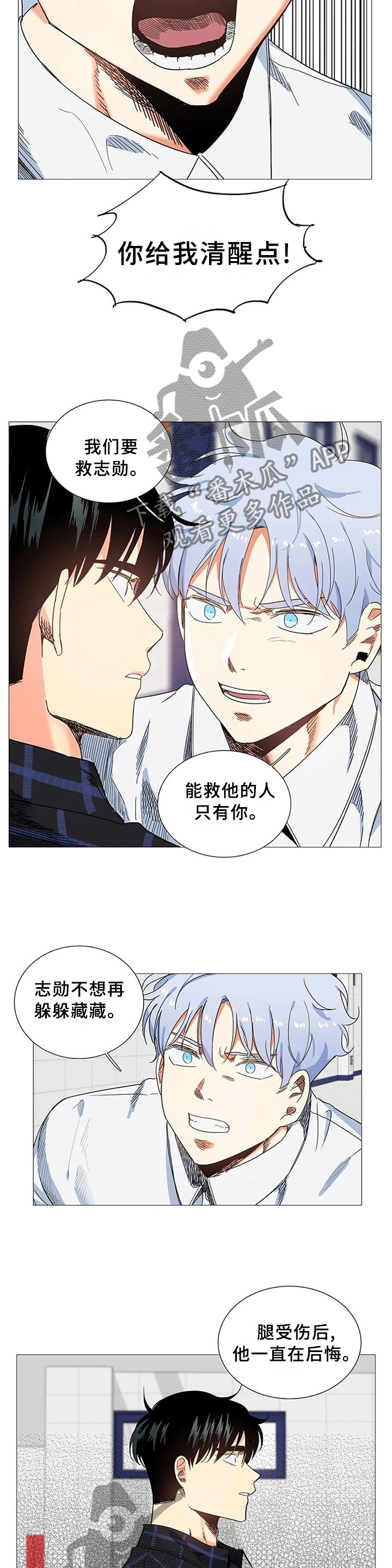 固执爱人漫画,第75章：求助4图