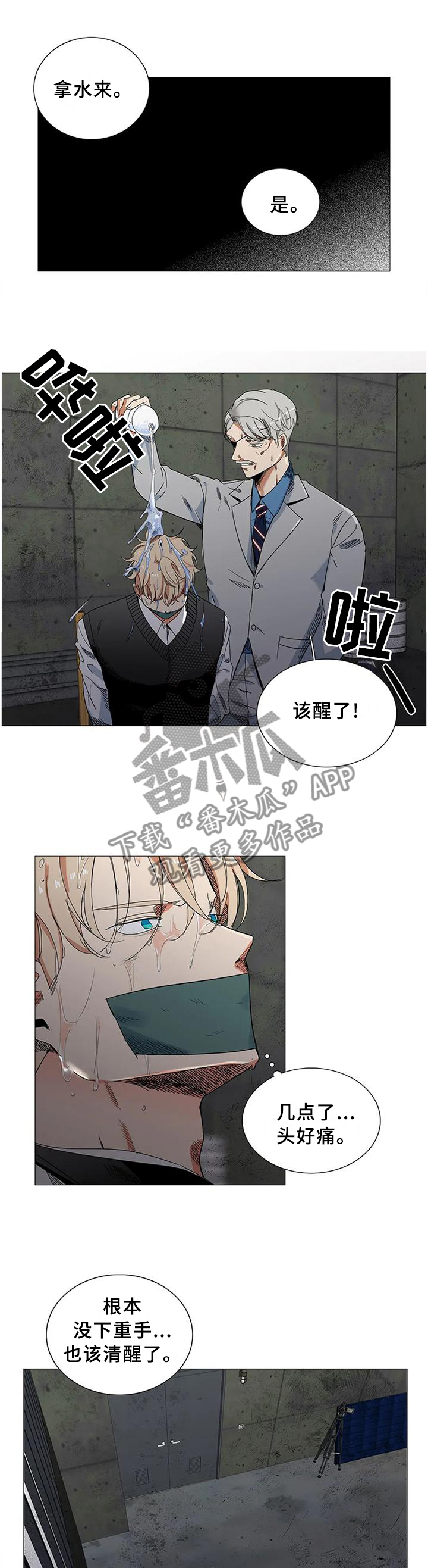 固执爱人漫画,第74章：愚蠢的想法1图