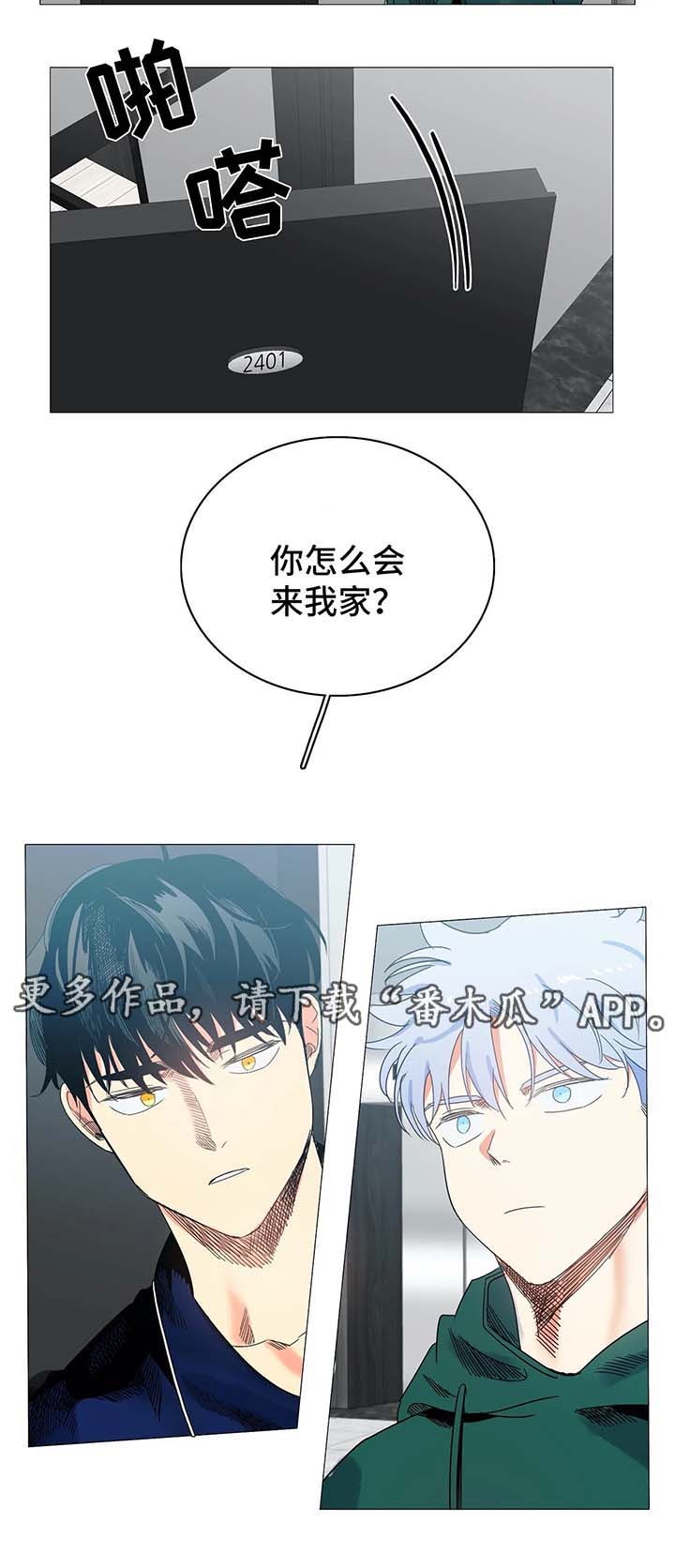 固执爱人漫画,第43章：淤青5图
