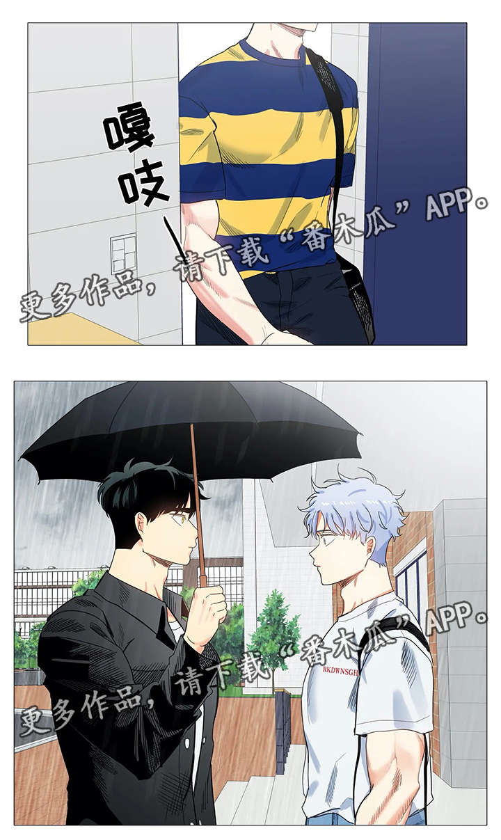 固执爱人漫画,第37章：下雨5图