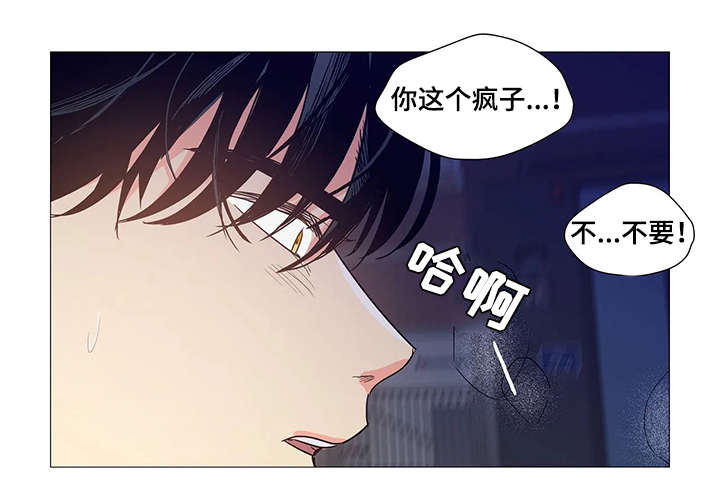 固执爱人漫画,第27章：晕倒3图