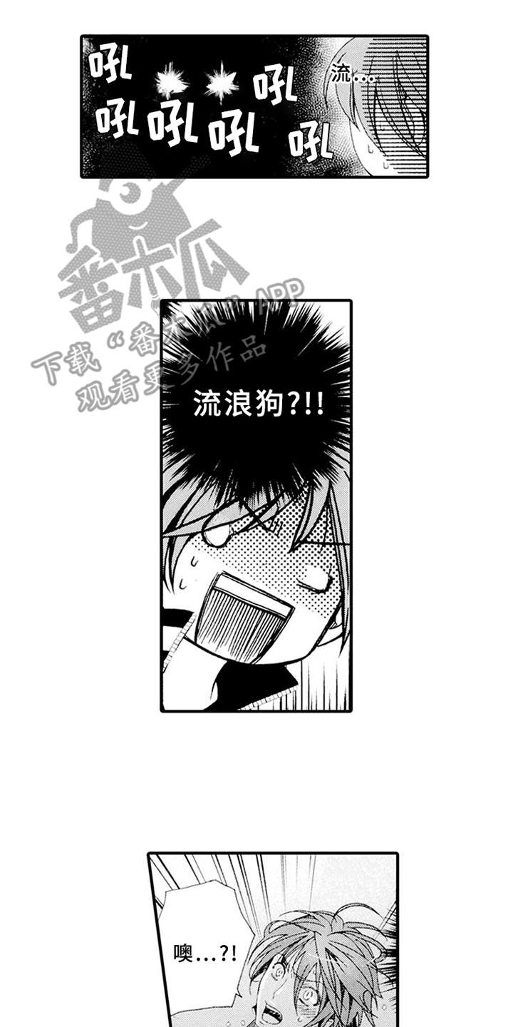 宠物保姆漫画,第4章：肆意妄为5图