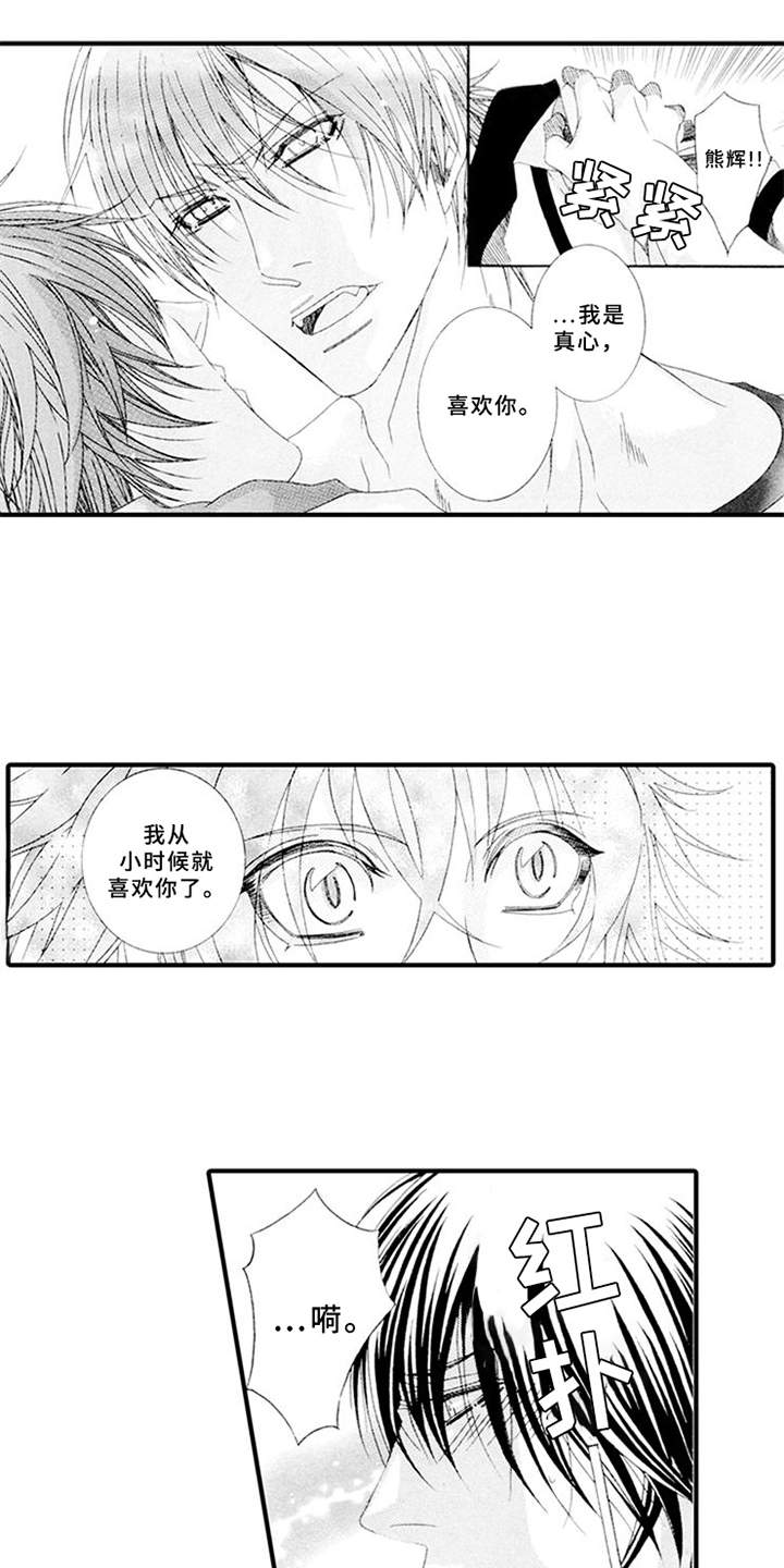 宠物保姆漫画,第12章：互相理解1图