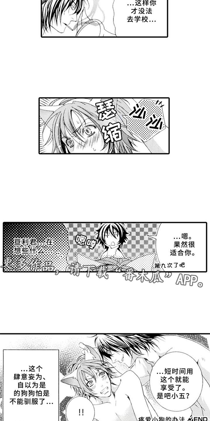 宠物保姆漫画,第5章：平等关系5图