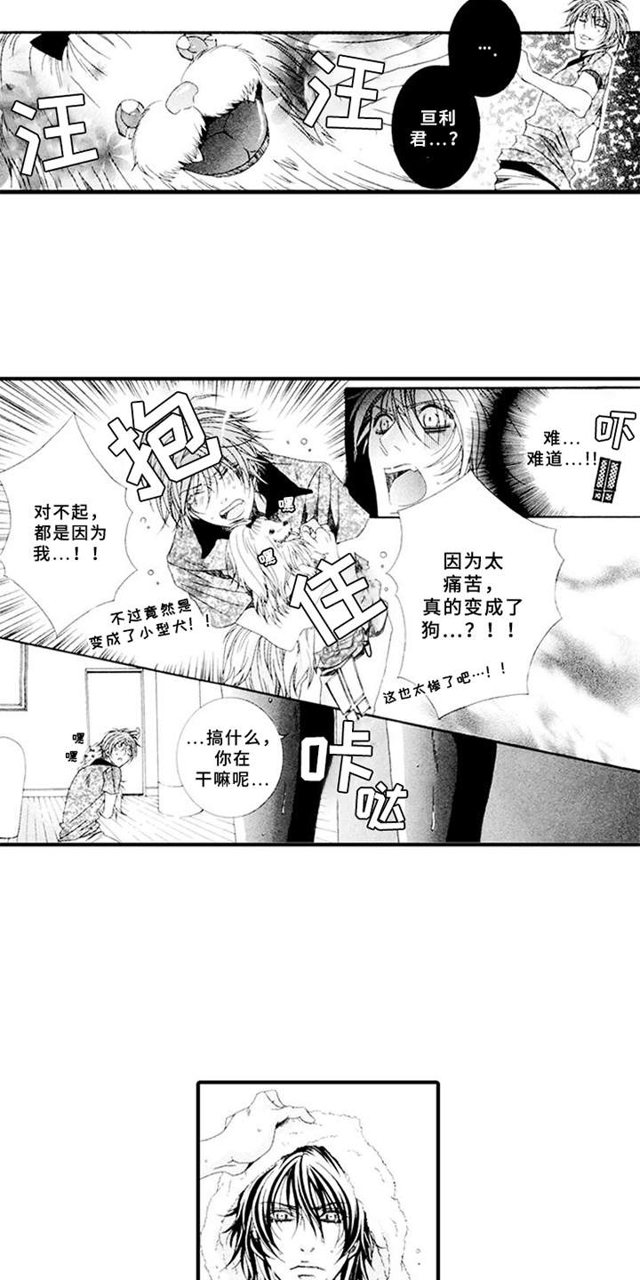 宠物保姆漫画,第3章：驯服的办法2图