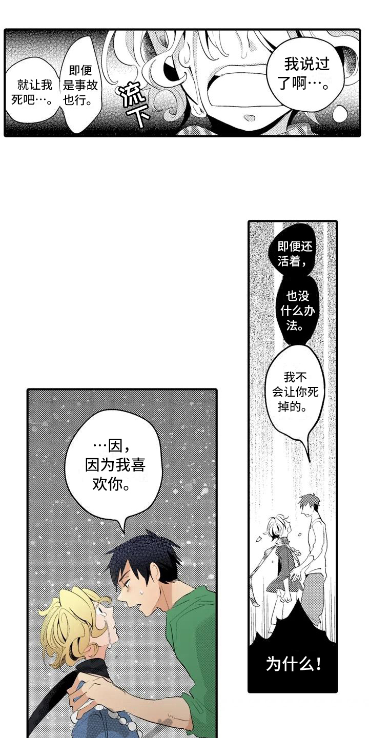 爱的照片漫画,第18章：【番外】表白4图
