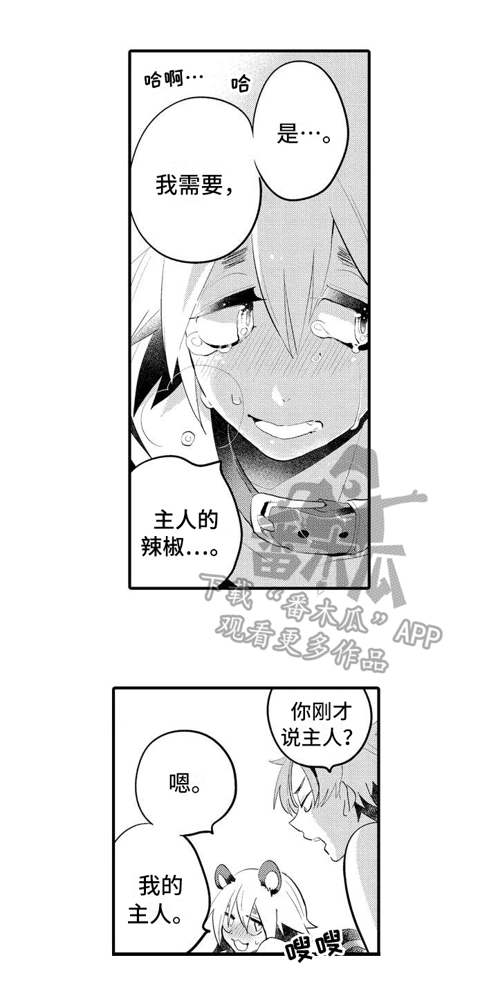 骷髅米可爱的照片漫画,第15章：【番外】一无所有4图