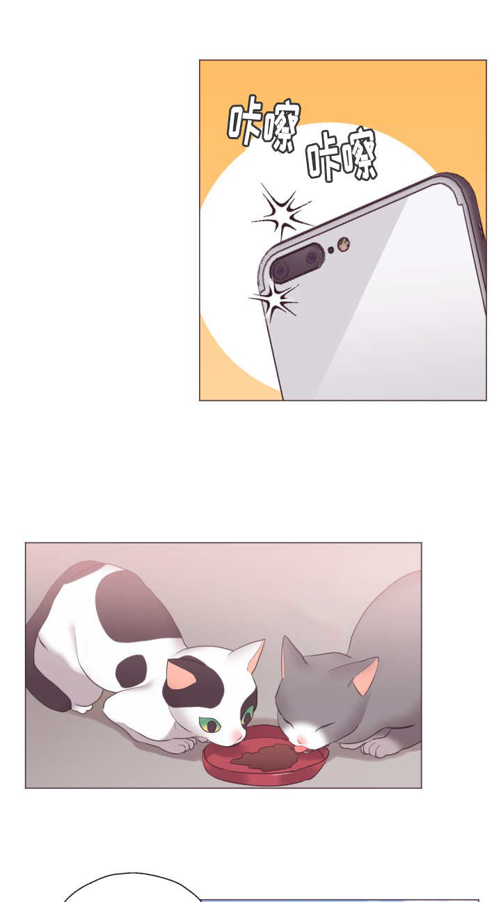 毕业考漫画,第17章：太善良了5图