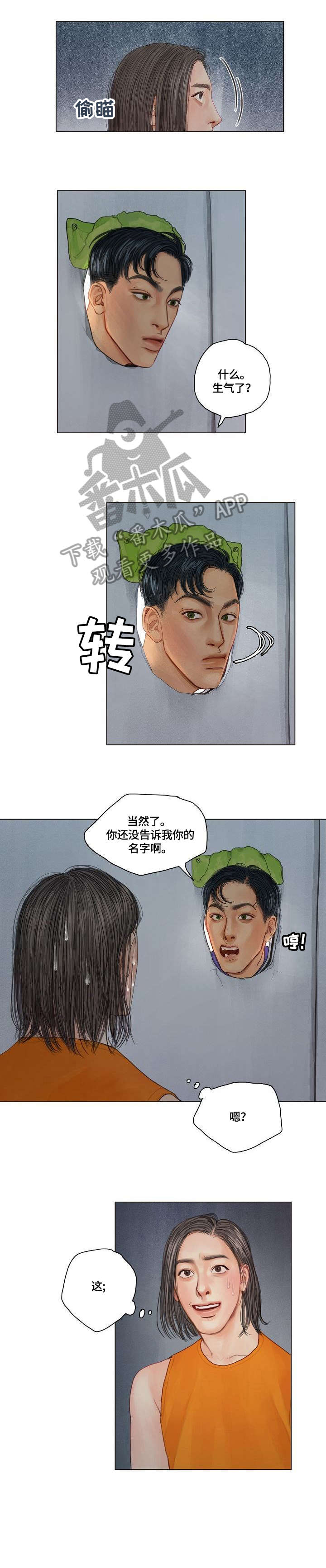 啄木鸟先生瑞士糖漫画,第11章：一直催1图