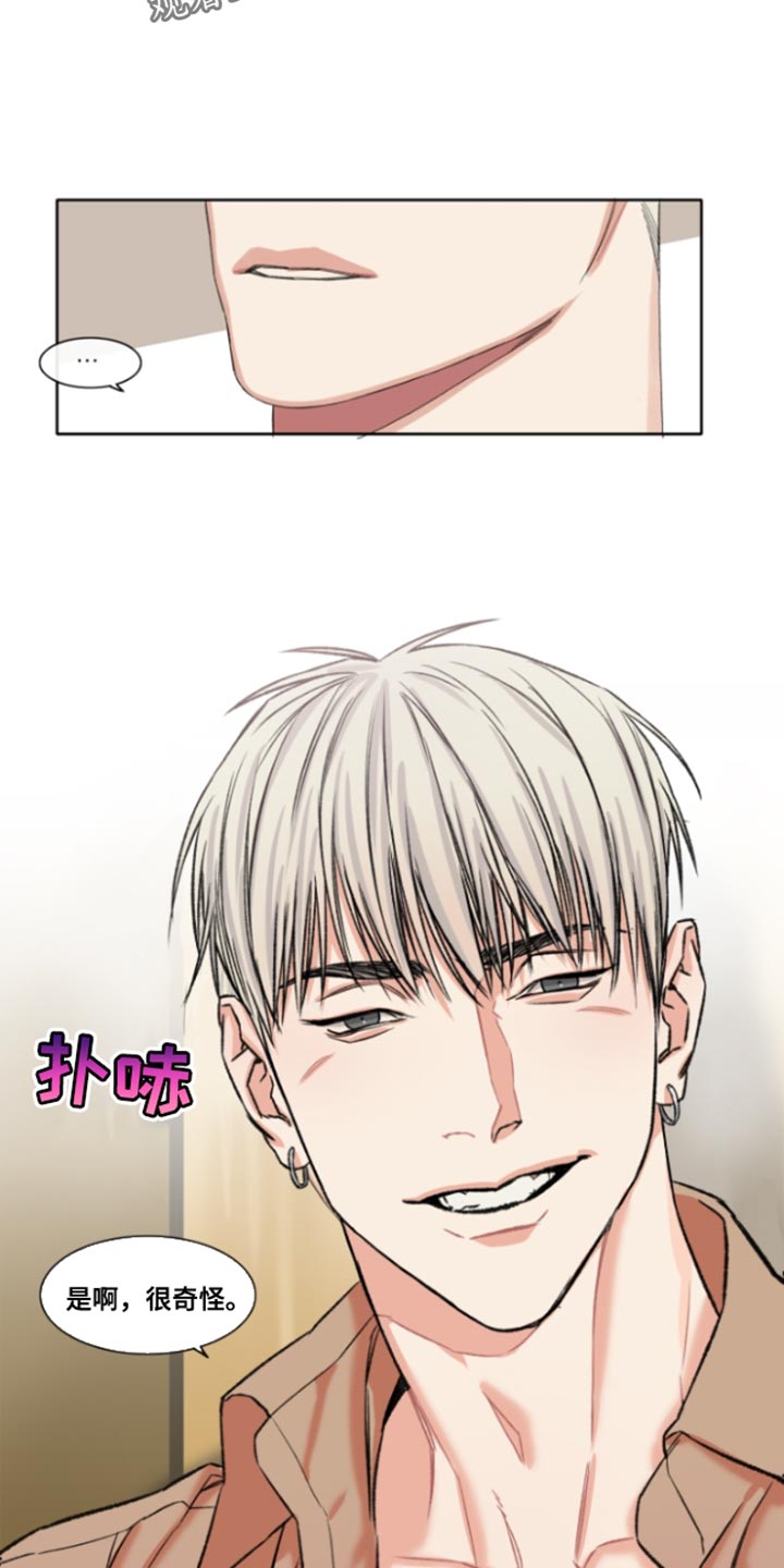 常客(南通)供应链有限公司漫画,第50章：【番外】我的喜好很奇怪2图