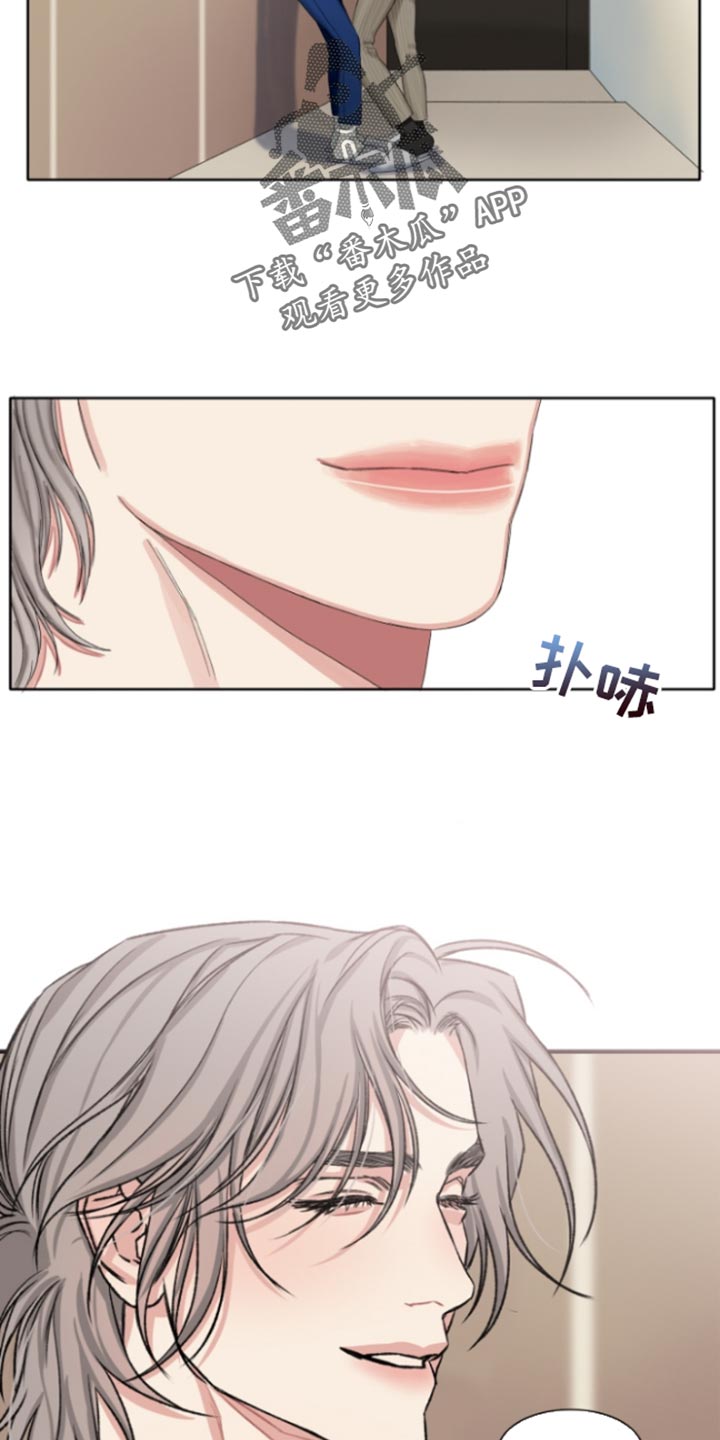 常客漫画,第52章：【番外】没关系4图