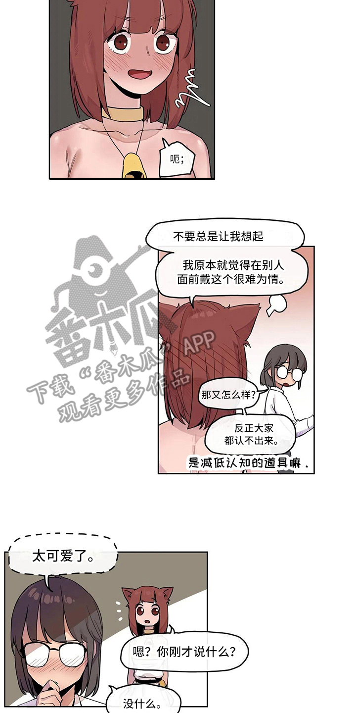 许愿神龙免费观看完整版在线观看中文版国语版中文版漫画,第16章：活动会场5图