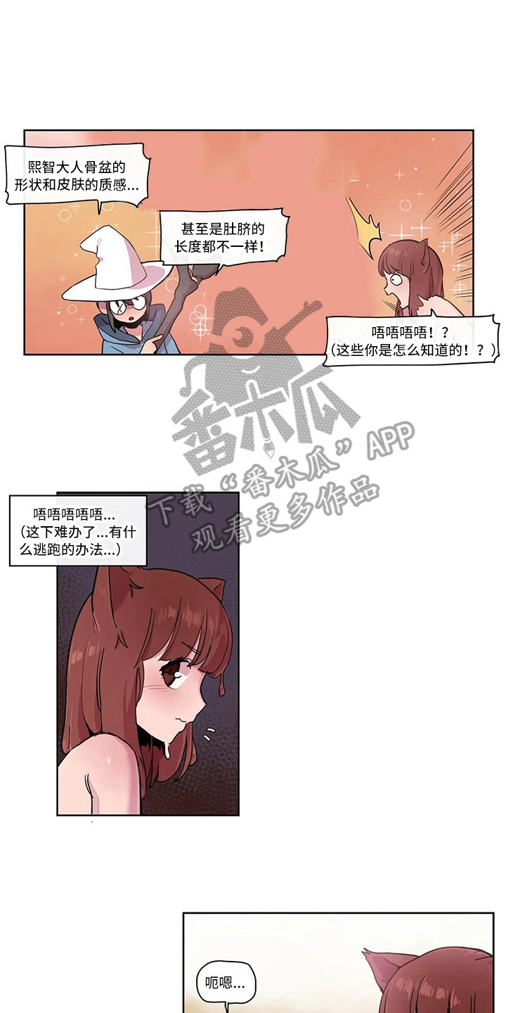 许愿神女漫画,第20章：反击2图