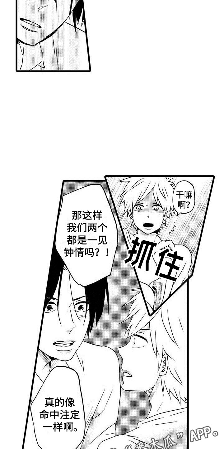 少年情话漫画,第11章：命中注定：一见钟情2图