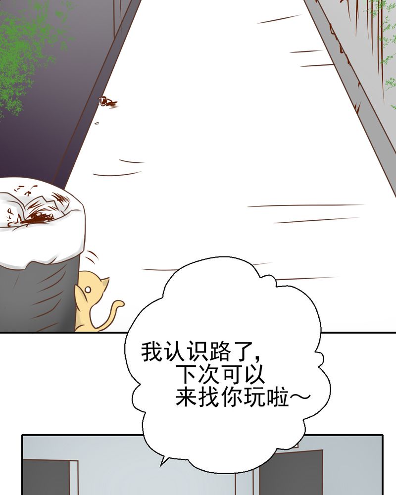 乖，让我咬一口漫画,第26章：或许命运，可以改变吧3图