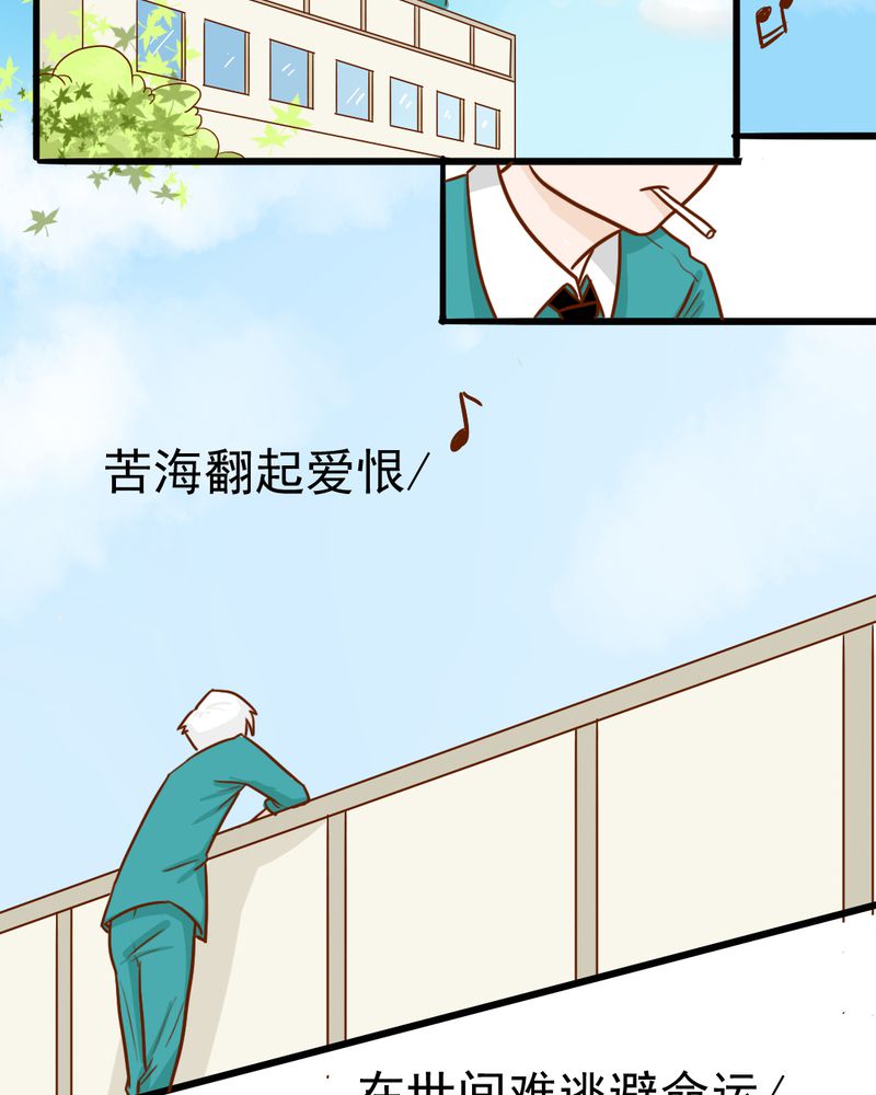 乖，让我咬一口漫画,第35章：蝙蝠和猫猫4图