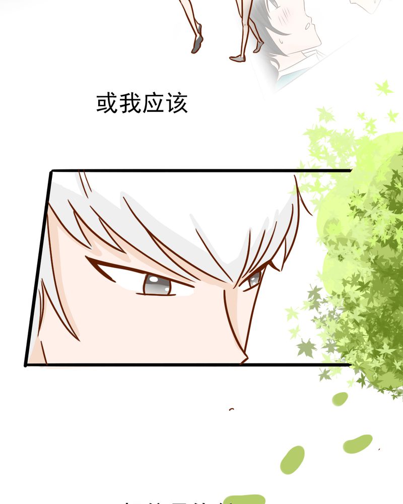 乖，让我咬一口漫画,第35章：蝙蝠和猫猫1图