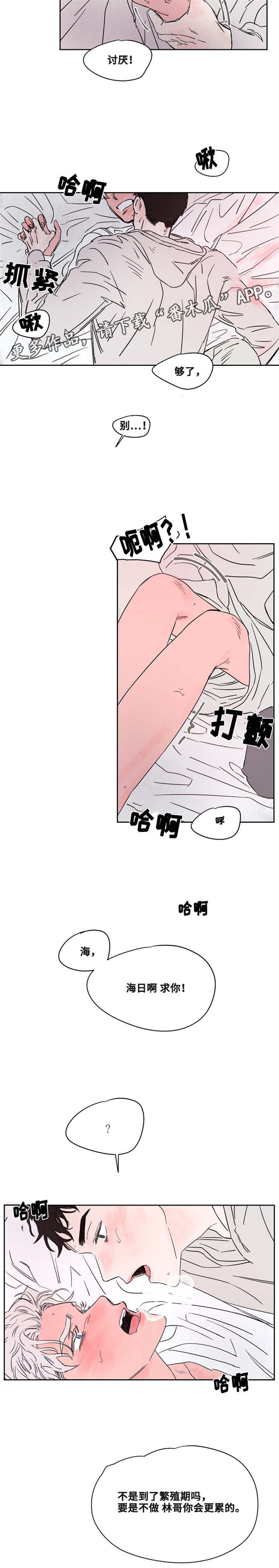 暗香浓在哪免费看漫画,第46章：才知道2图
