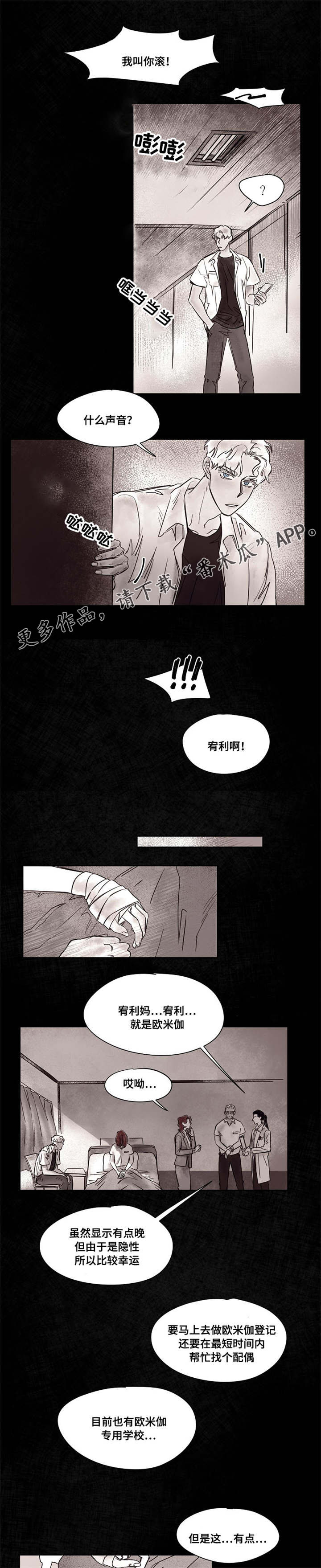 暗香浓什么意思漫画,第43章：订婚4图