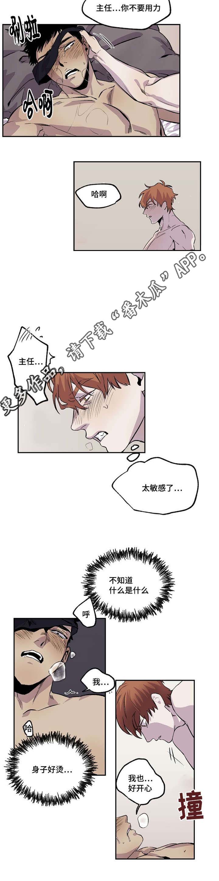 安乡农商银行员工招聘公告漫画,第32章：不满3图