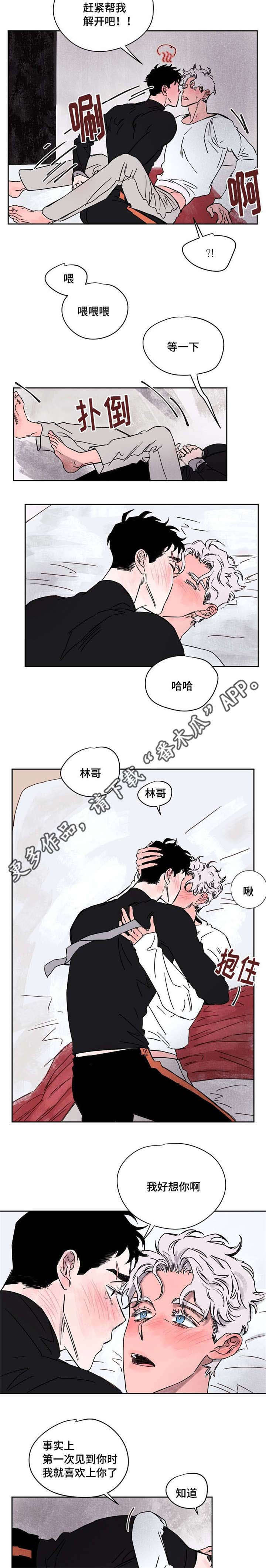 暗香浓漫画,第57章：喜欢你2图