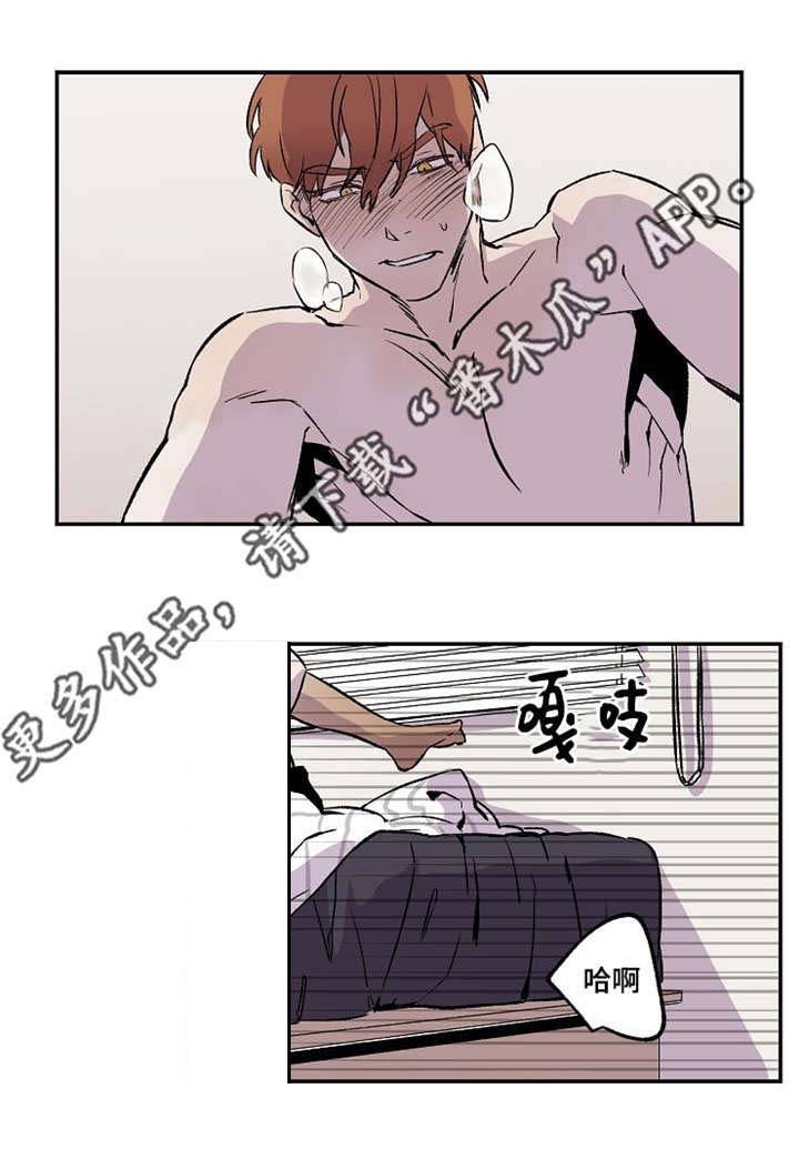安乡农商银行员工招聘公告漫画,第32章：不满4图