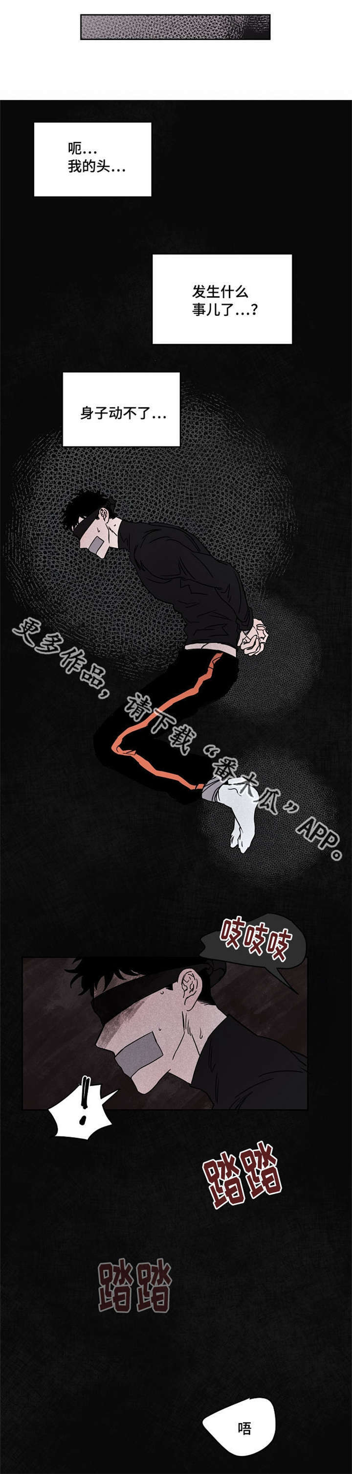 安乡农商银行员工招聘公告漫画,第56章：一周都在这4图