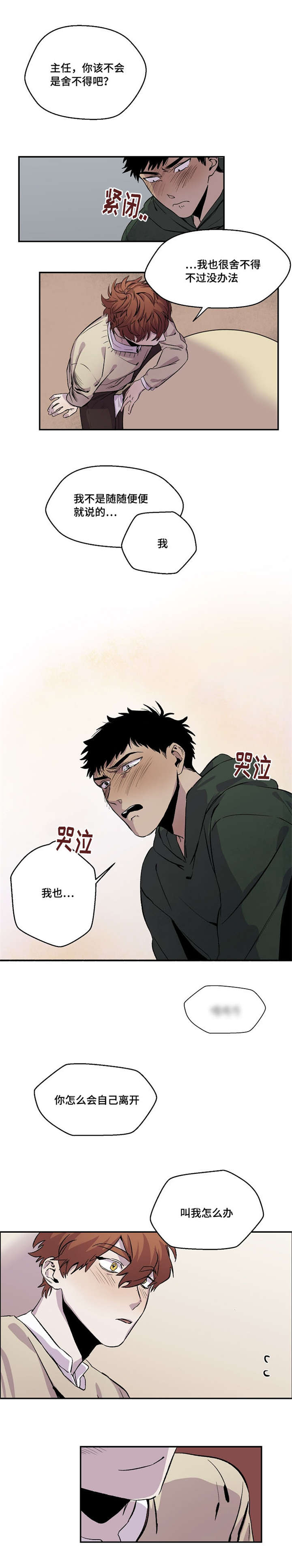 暗香浓在哪免费看漫画,第30章：玩具5图